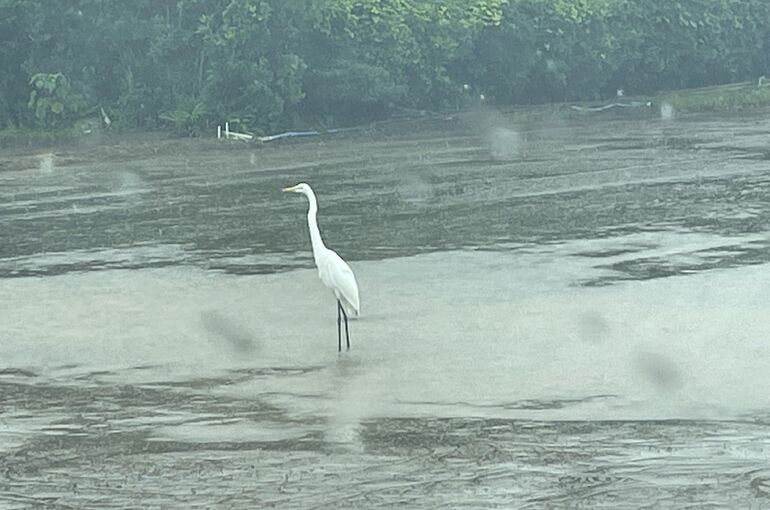 3734FC42-64CF-4DA5-A2DC-FA0926B4CDE1