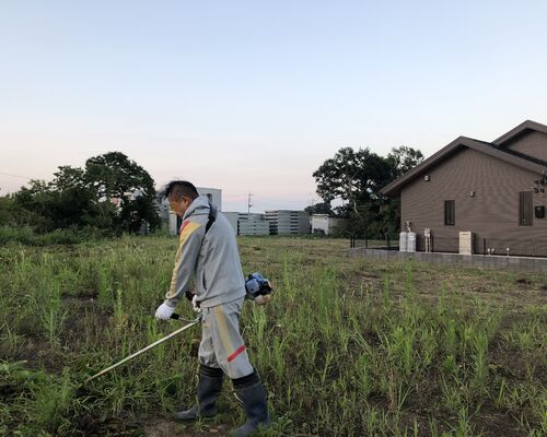 草刈り