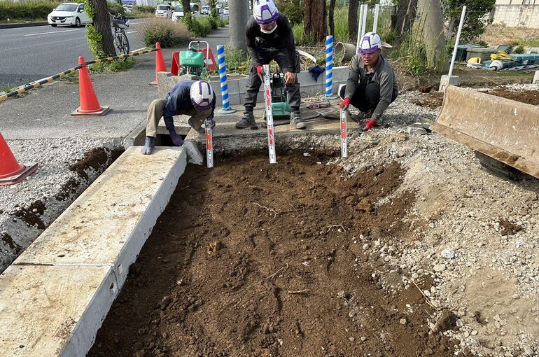 3CE3560E-9CDB-4BB1-BC1B-41A4FF520993