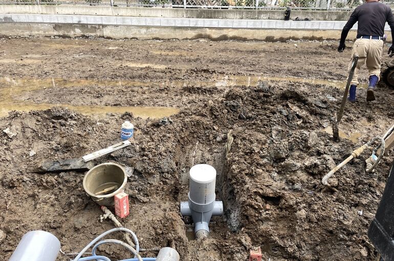 75E8D652-A567-467D-999E-EB0409946441