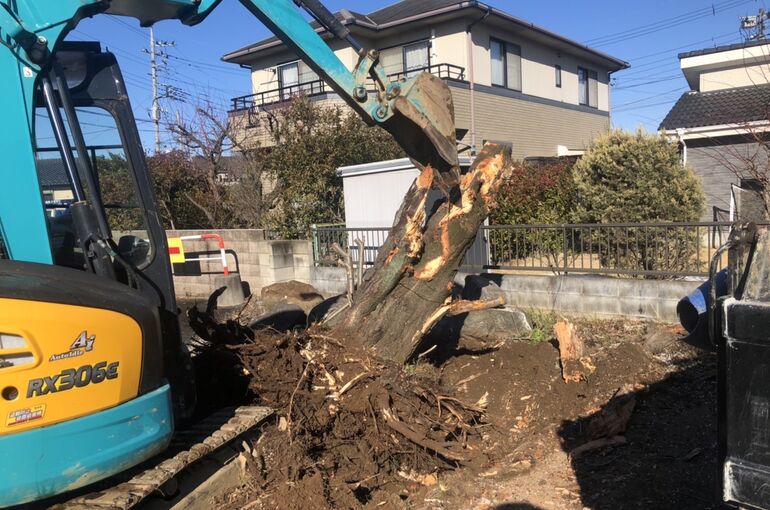 74AC77A6-2F69-4E45-8A90-DD75EE1BD727