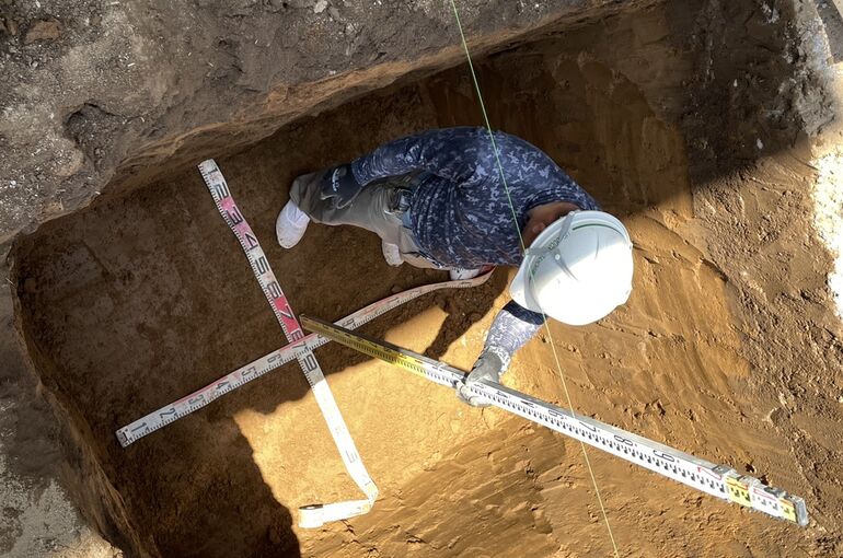 田楽(でんがく)