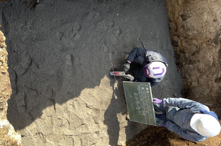 FB73D9D0-279D-4203-AA3D-7CA15A4E1075