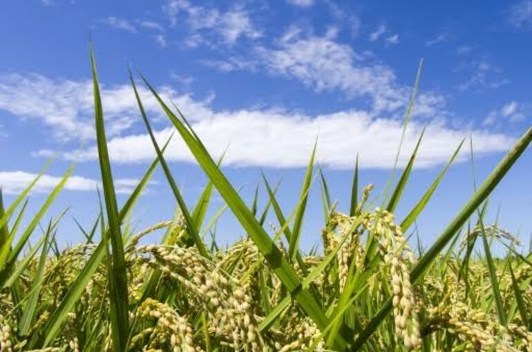 午後から打ち合わせ